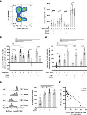 Co-Expression of TIGIT and Helios Marks Immunosenescent CD8+ T Cells During Aging